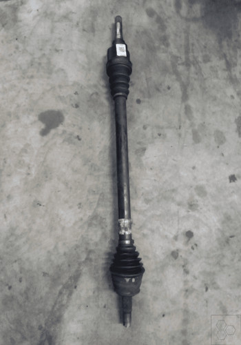 1607734980 semialbero ant - 1607734980,
