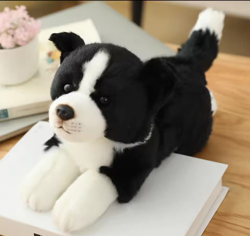 Peluche border collie - border,