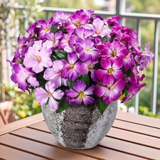 6 Mazzi Mazzo di Fiori di