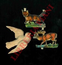 Animali - Animali vari, uccelli, daino, volpe.