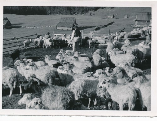 Foto nachl karl gissenler - karl,