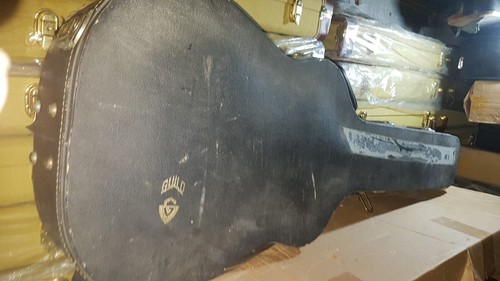 Custodia dreadnought acustica - dreadnought,
