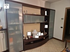 Parete attrezzata / armadio in legno scuro con ante in vetro satinato