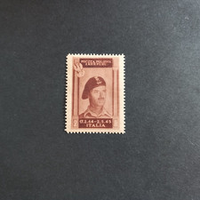 CORPO POLACCO 1946/ EFFIGIE