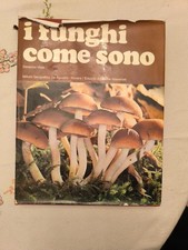 S. VIOLA - I FUNGHI COME SONO
