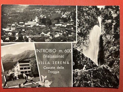 Cartolina introbio - cartolina, (