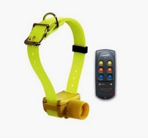 Collier reperage sonore - reperage,