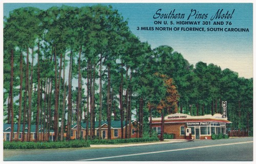 Southern pines motel - southern, motel,