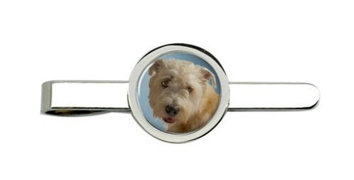 Glen imaal terrier - glen,