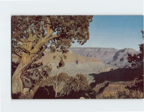 Cartolina grand canyon - cartolina,