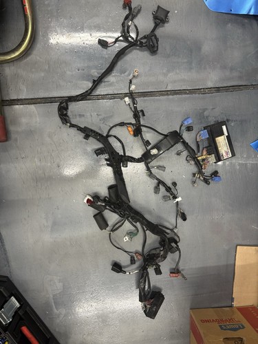2017 2019 cbr1000rr hrc wiring - cbr1000rr,