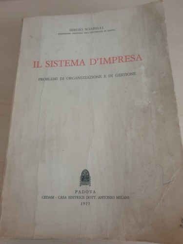 Sistema impresa sergio - il, d'impresa