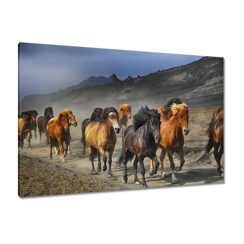 Quadro tela da - su,