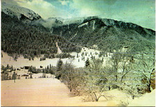 ud 371 - anni 80 - RAVASCLETTO (Udine) Monte Zoncolan - nevicata - non VG