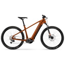 Mountain bike elettrica /