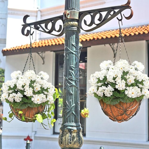 Cuore matrimonio seta - , begonia