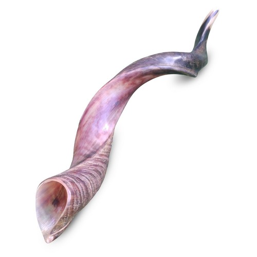 Shofar corno kudu - , yemenita