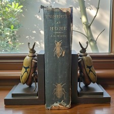 Antique Entomology Book 1872