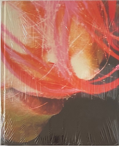 Pipilotti rist himalaya 50 - rist,