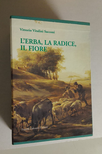 Erba radice il - radice,,