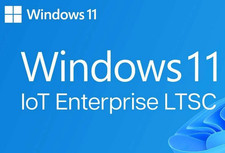 Windows 11 IoT LTSC Enterprise 2024 MAK di 20