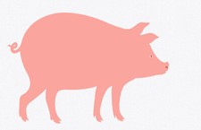 Danese Milano - Diciotto, Il