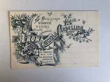 Cartolina Pubblicitaria Piante e Fiori Confezionati Cardellini Roma c16