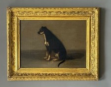 Reggenza inglese ritratto di un cane Pinscher