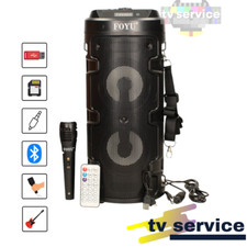 Cassa Amplificata USB SD Karaoke Bluetooth con Microfono.