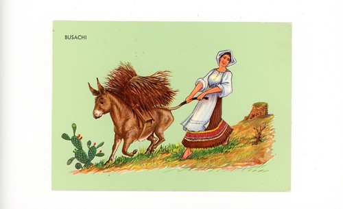 Costumi sardi busachi sardegna - busachi,