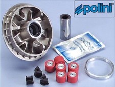 241.605 VARIATORE POLINI per