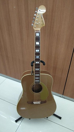 Chitarra elettrica acustica