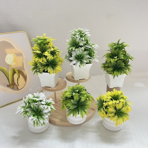 Pianta decorativa foglia - , di
