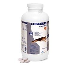 Cosequin advanced cane 250cpr - cosequin,