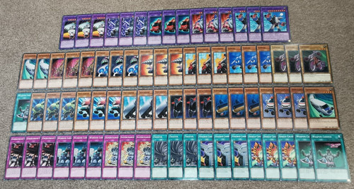 Card syrus roid - card, syrus/roid