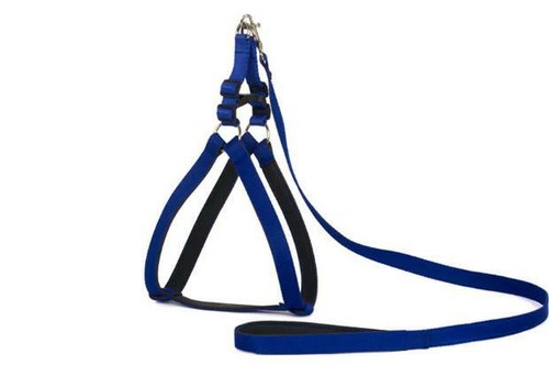 Kit guinzaglio imbracatura - imbracatura, per
