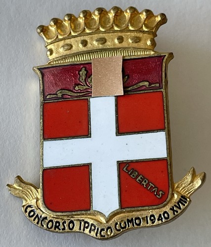 Distintivo concorso ippico - distintivo,