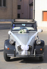 BOLIS Kit COCCARDE Bianco |