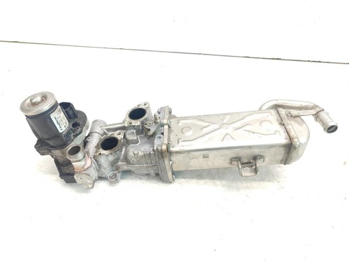 Radiatore scarico volkswagen - radiatore,