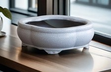 Vaso per bonsai Ovale Nuvola in gres 16x11 cm Bianco Crepato Smaltato 