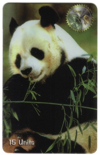 15u gigante panda - 15u, mangia