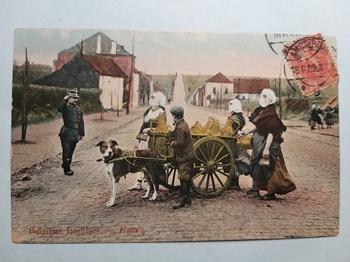 Belgio laitière flamande - belgio,