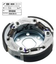 CM1002045 Frizione centrifuga