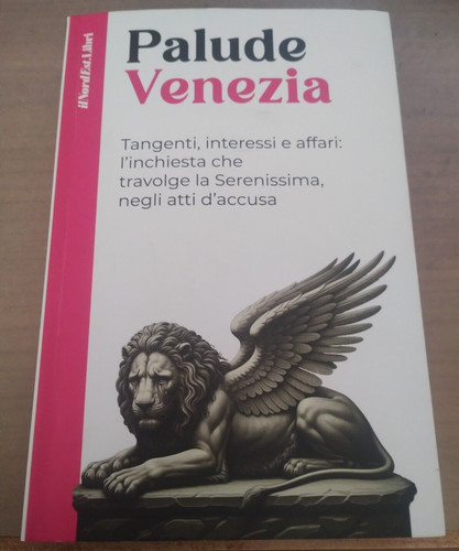 Libro inchiesta palude - libro,