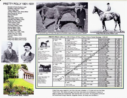 Famoso cavallo corsa - famoso, da