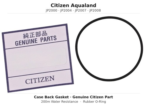 Guarnizione ring cassa - o-ring,
