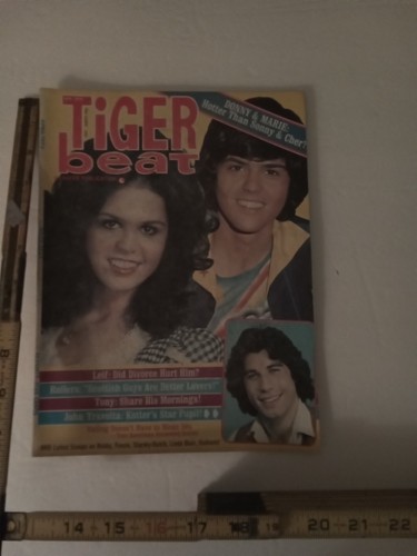 Tiger beat april - tiger, 1976