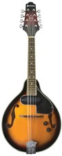 Mandolino elettrico