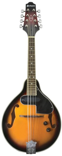 Mandolino elettrico