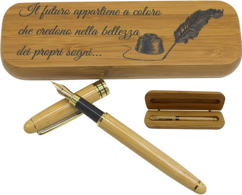 Penna stilografica elegante - penna,